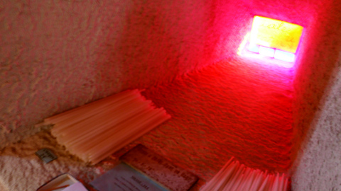 20080914-04.jpg