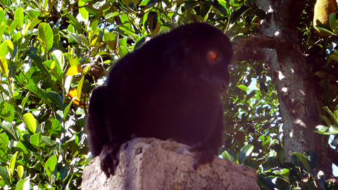 20080612-02.jpg