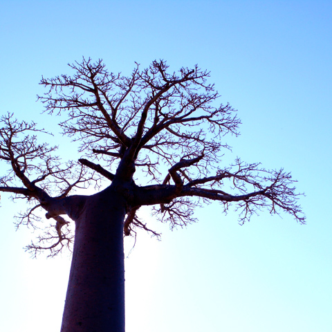 20080624-01.jpg