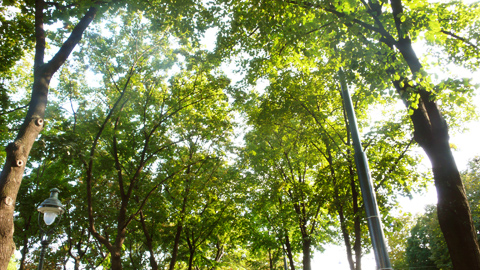 20080821-04.jpg
