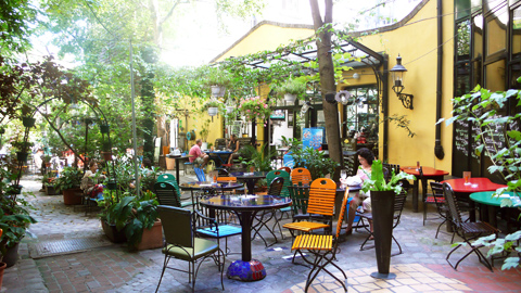20080822-03.jpg