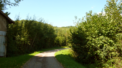 20080913-07.jpg