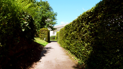 20080913-09.jpg