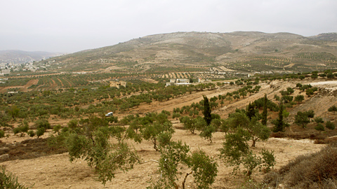 20081025-02.jpg