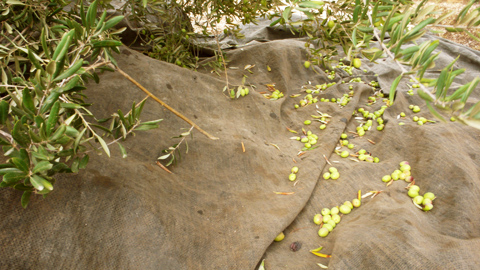 20081025-04.jpg