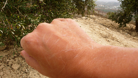 20081025-11.jpg