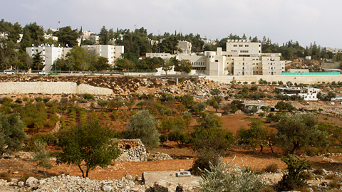 20081026-01.jpg