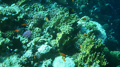 20081113-04.jpg