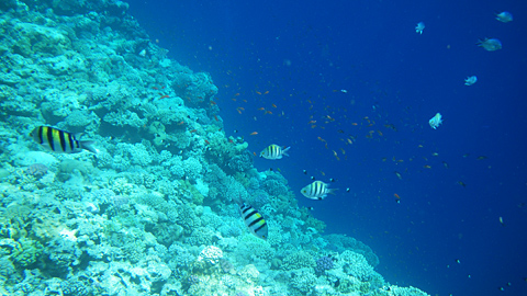 20081113-05.jpg