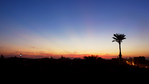 20081126-07.jpg