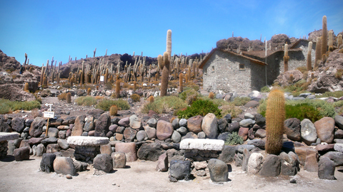 20090327-18.jpg