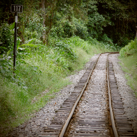 20090414-13.jpg