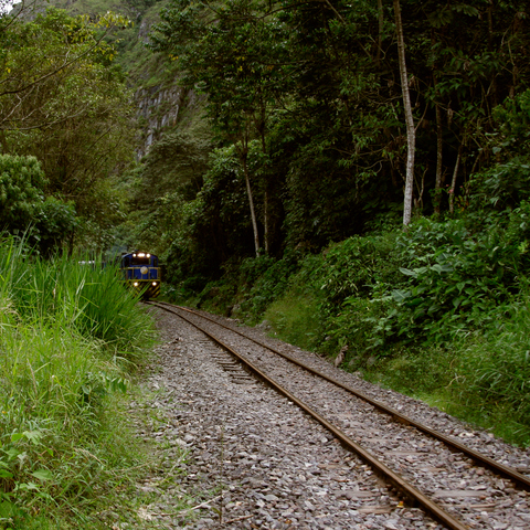 20090414-18.jpg