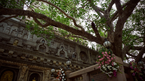 20090531-02.jpg
